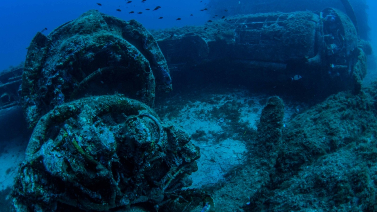 B-17_Calvi_motore