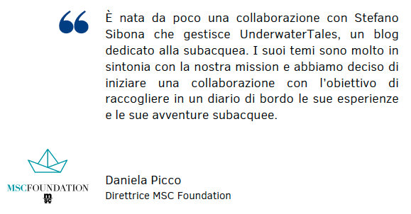 MSC Foundation